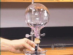 282.gif