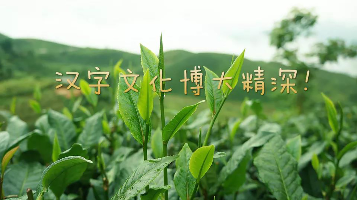 輝安化工丨“硼酸”和“硼砂”一字之差，是同一種東西嗎？輝安化工上線解說(shuō)！