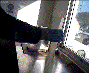 100.gif