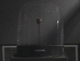 243.gif