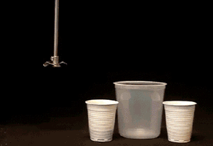 30.gif